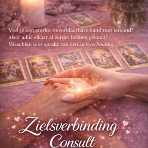 Zielsverbinding Consult